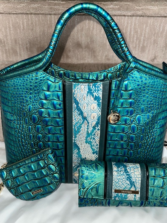 Brahmin Handbags - 💚 EEUC Brahmin Elaine, Cordelia Wallet, and Britt Coin Purse in Peacock Shimmer